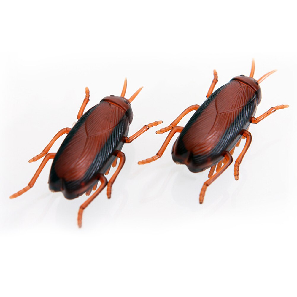 Cat Toys Electric Cockroach