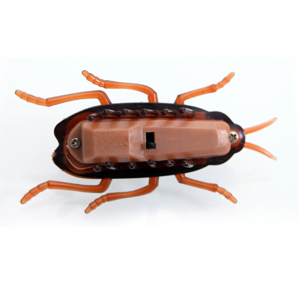 Cat Toys Electric Cockroach