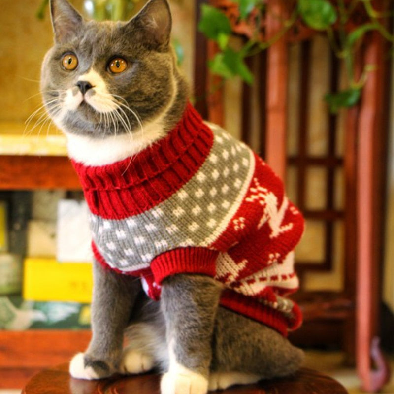 Cute Cat Sweater