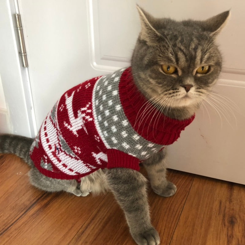 Cute Cat Sweater