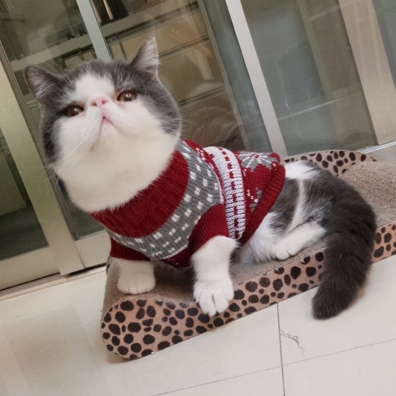 Cute Cat Sweater