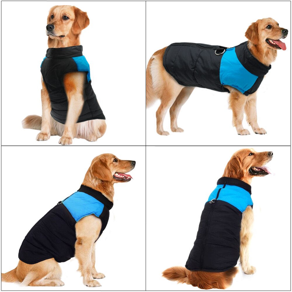 Dog Clothes For Large Dogs