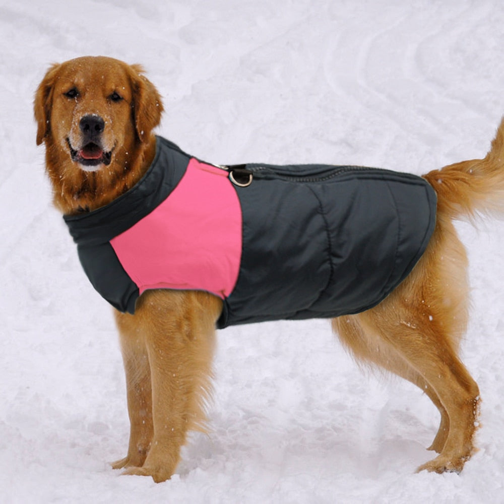 Dog Clothes For Large Dogs