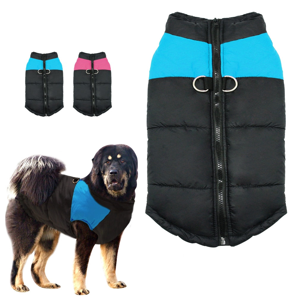 Dog Clothes For Large Dogs