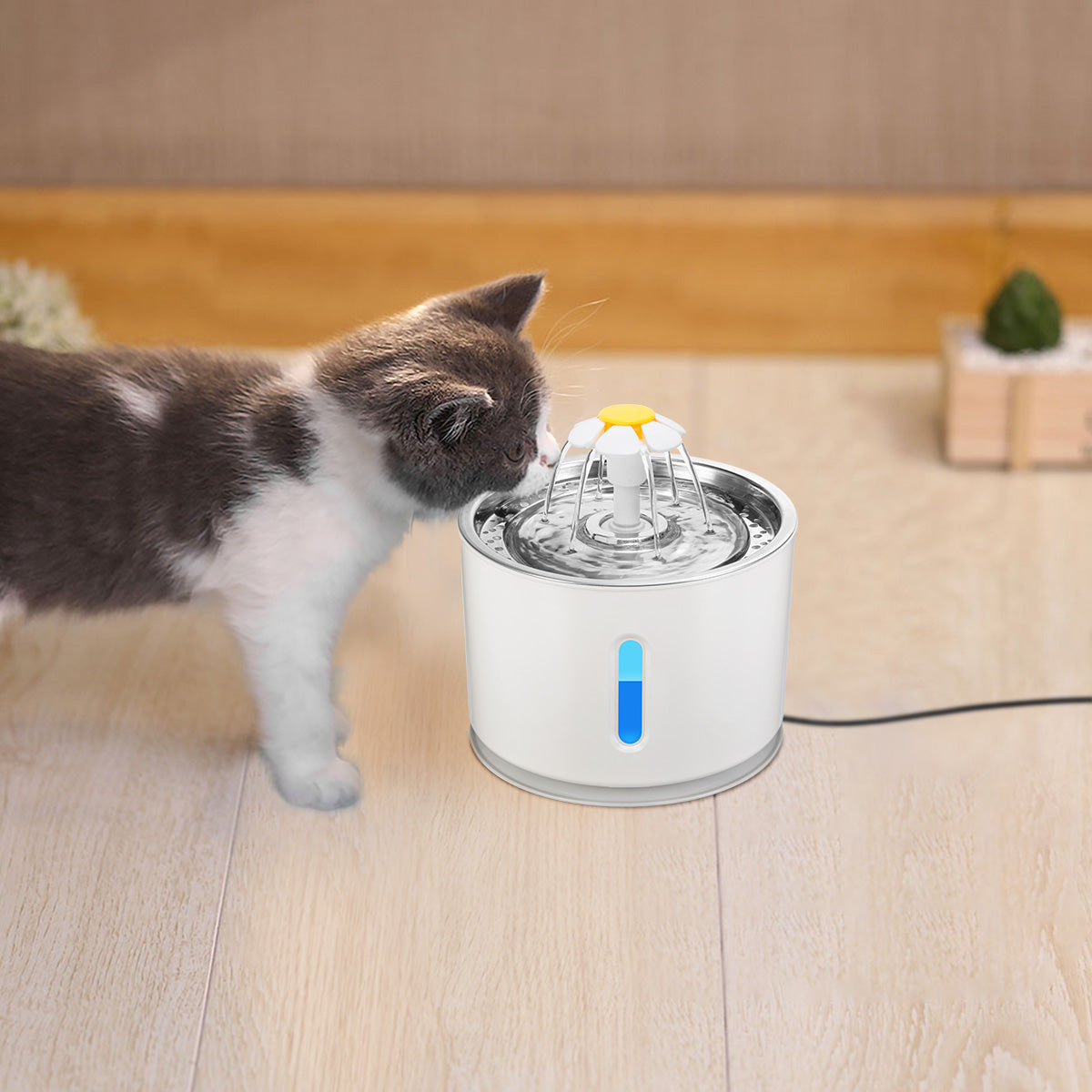 PurrFlow Automatic Cat Water Feeder