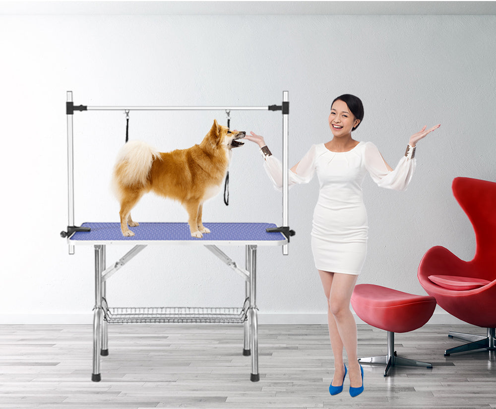 ProPaws 36” Foldable Grooming Station