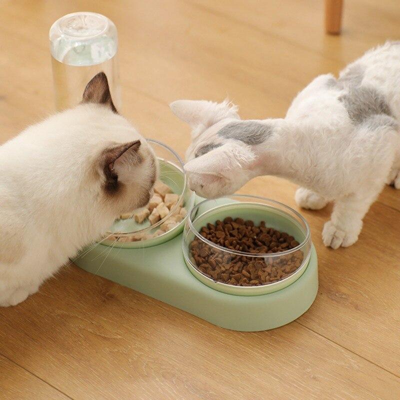 Pet Automatic Feeder Bowl